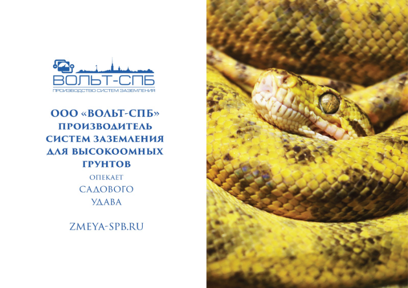 «ВОЛЬТ-СПБ» взял под опеку удава Вольтика